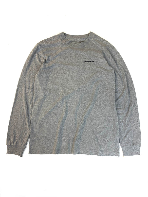 Patagonia responsibili-tee (M)