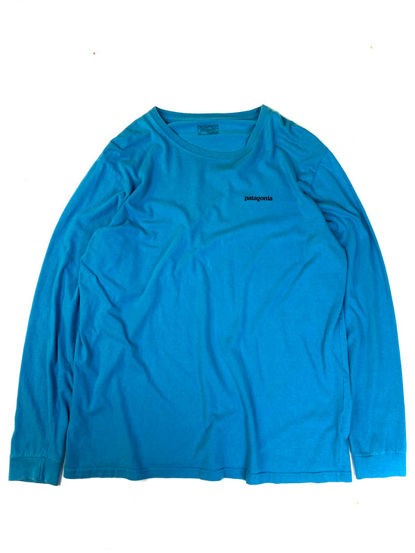 Patagonia long sleeve t-shirt (XL)